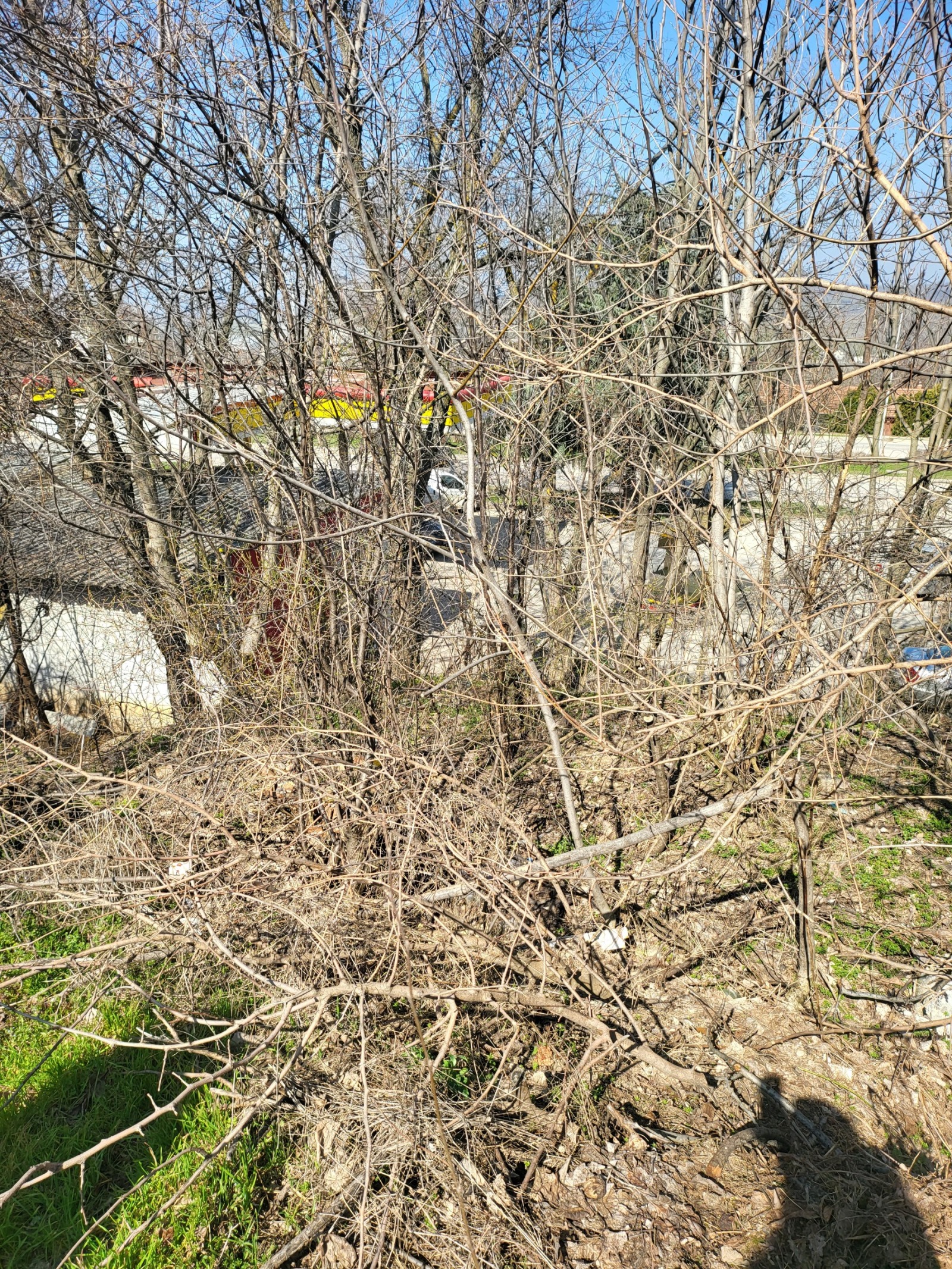 Продава КЪЩА, с. Згалево, област Плевен, снимка 7 - Къщи - 54081925