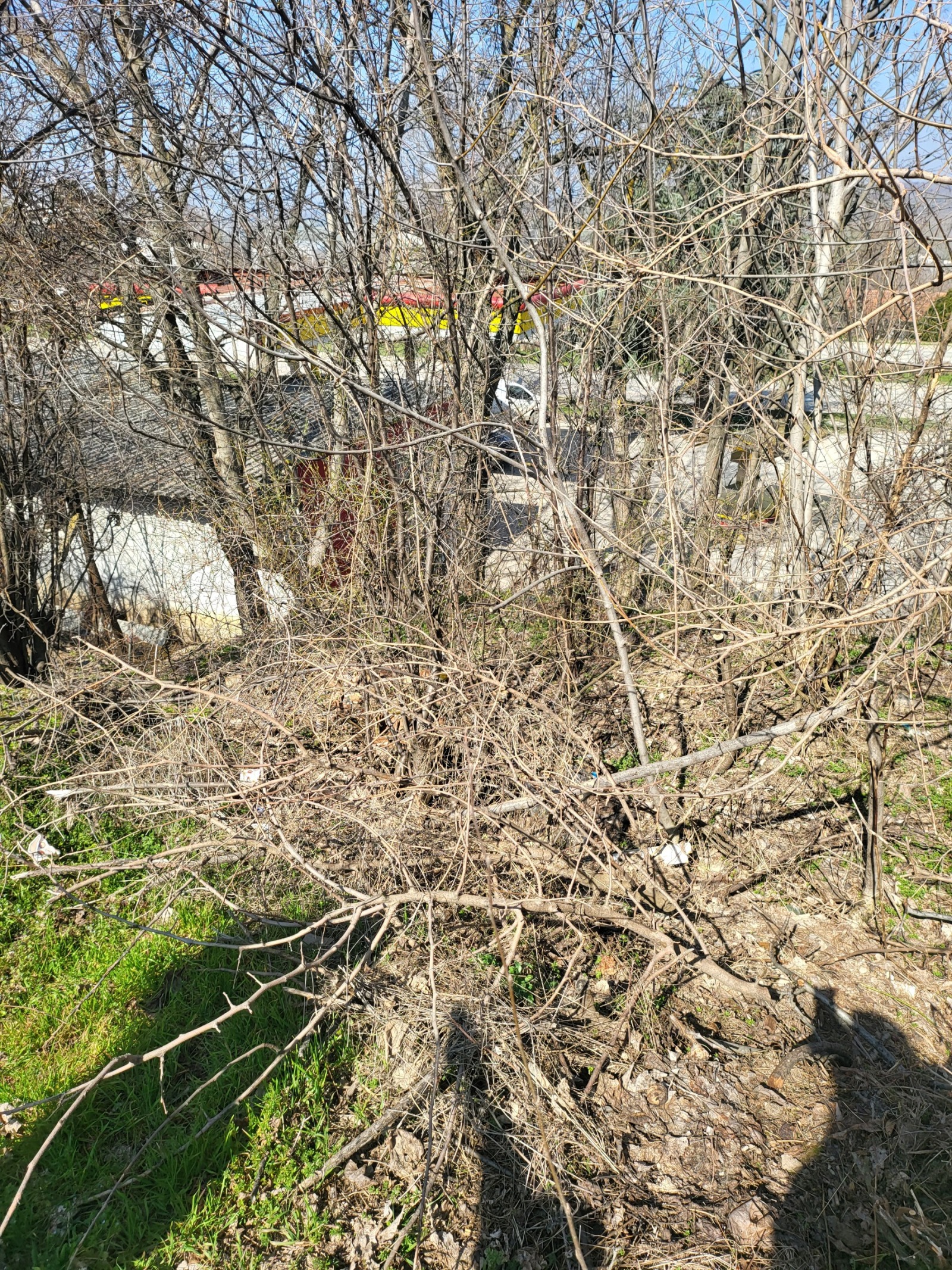 Продава КЪЩА, с. Згалево, област Плевен, снимка 6 - Къщи - 54081925