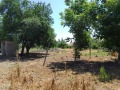 Продава КЪЩА, област Велико Търново, с. Поликраище • 39800 € • 44408003 — Holmes.bg