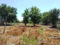 Продава КЪЩА, област Велико Търново, с. Поликраище • 39800 € • 44408003 — Holmes.bg