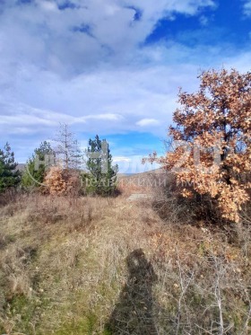 ������� ������ | Imot.bg � ����� ������ 2