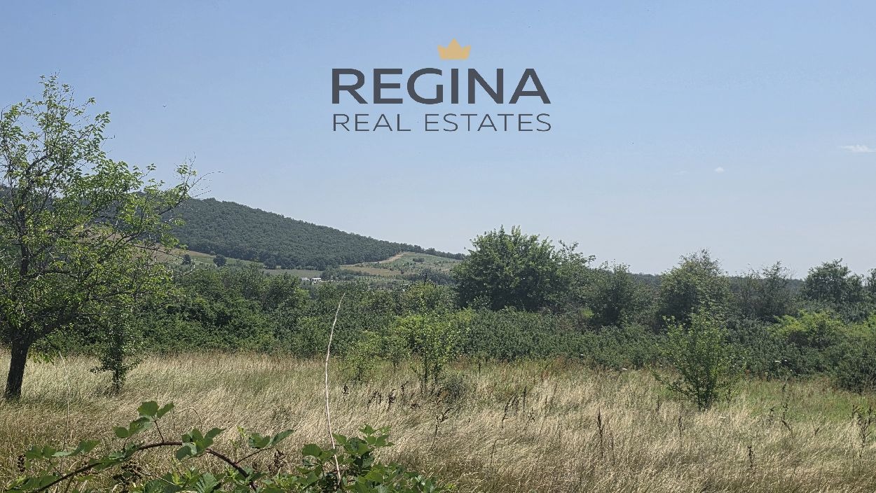 Продава ПАРЦЕЛ, с. Кръстевич, област Пловдив, снимка 2 - Парцели - 55360384