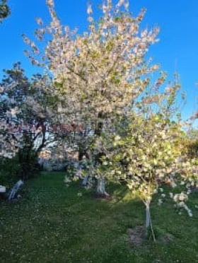 ������� ���� | Imot.bg � ����������� 4