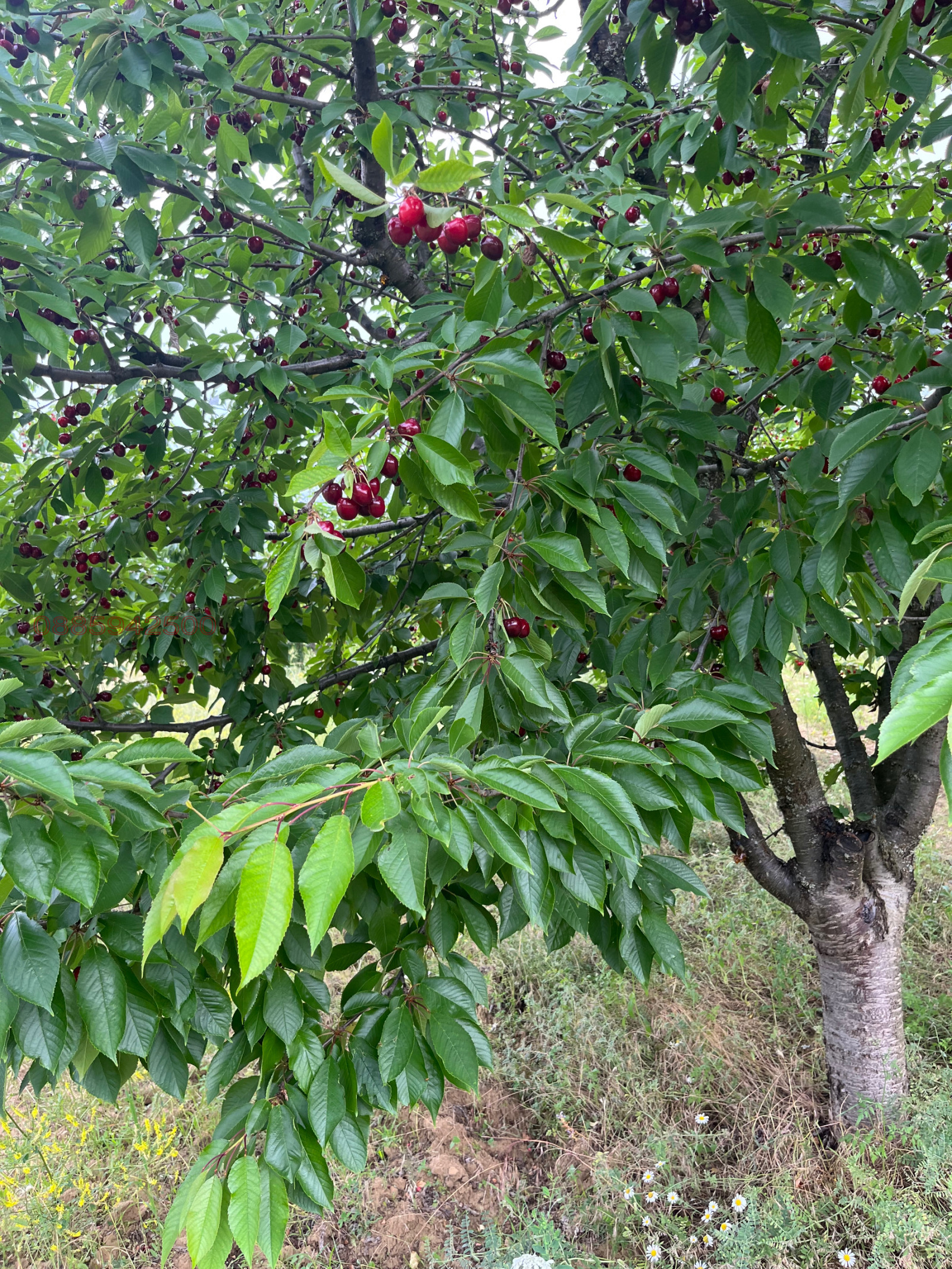 ������� ���������� ���� | Imot.bg � ����������� 4