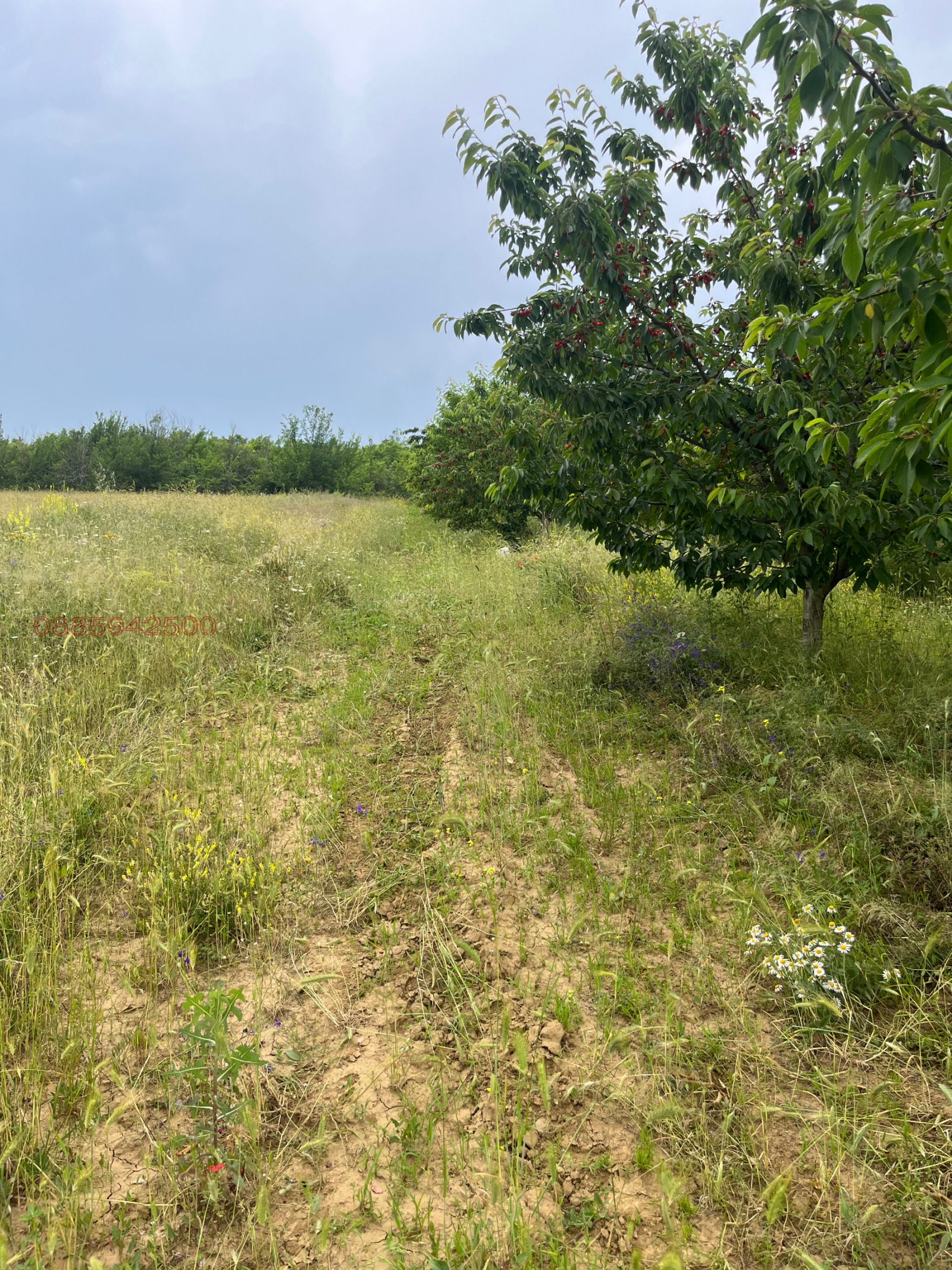 ������� ���������� ���� | Imot.bg � ����������� 3