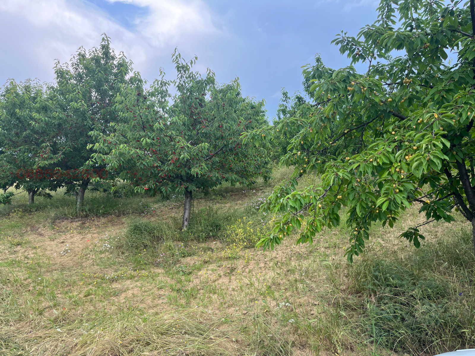 ������� ���������� ���� | Imot.bg � ����������� 6