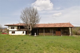 ������ ������� ����