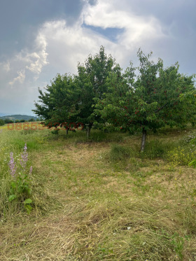 ������� ���������� ���� | Imot.bg � ����� ������ 5