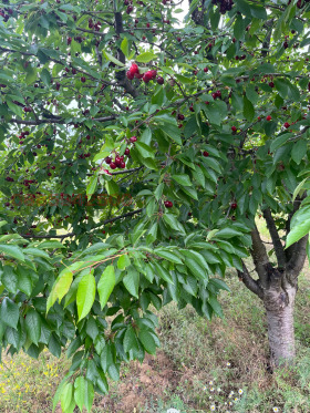 ������� ���������� ���� | Imot.bg � ����� ������ 4