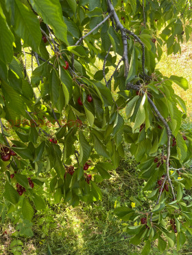 ������� ���������� ���� | Imot.bg � ����� ������ 2