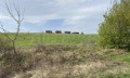 Продава ПАРЦЕЛ, област Бургас, с. Лозенец • 220000 € • 85588168 — Holmes.bg