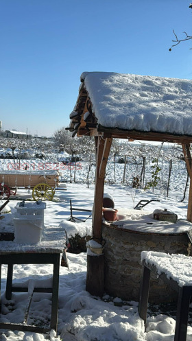 ������ ������� ����