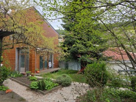 ����� ������� ����,���� �����, �������