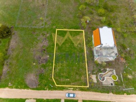 ������ ������� ������