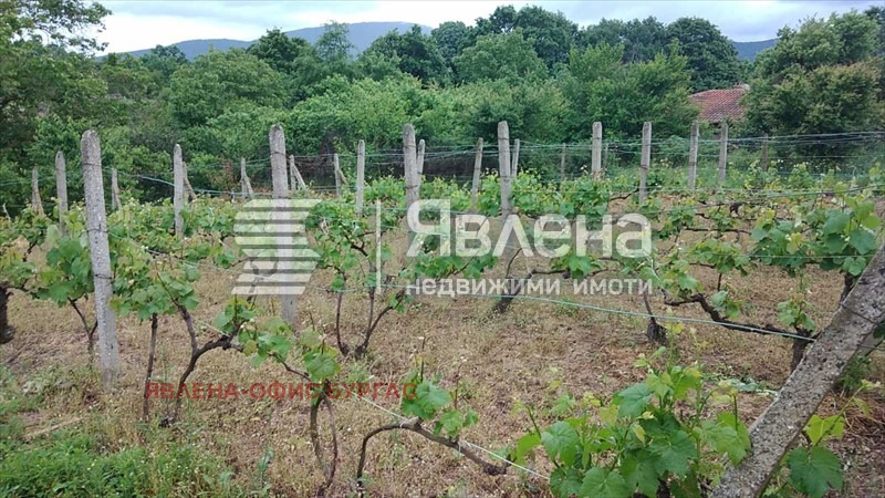Продава КЪЩА, с. Изгрев, област Бургас, снимка 6 - Къщи - 56510205