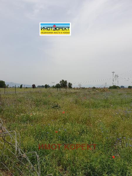 Продава ЗЕМЕДЕЛСКА ЗЕМЯ, с. Братаница, област Пазарджик, снимка 4 - Земеделска земя - 41927565