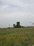 Продава ЗЕМЕДЕЛСКА ЗЕМЯ, с. Братаница, област Пазарджик, снимка 1