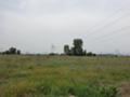 Продава ЗЕМЕДЕЛСКА ЗЕМЯ, с. Братаница, област Пазарджик, снимка 2