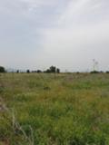 Продава ЗЕМЕДЕЛСКА ЗЕМЯ, с. Братаница, област Пазарджик, снимка 3