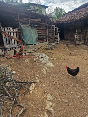 ������� ���� | Imot.bg � ����� ������ 2