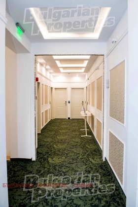 ����� ������� �����,���� �����, ������