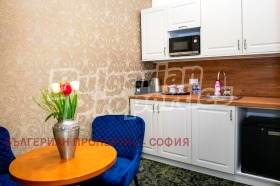 ����� ������� �����,���� �����, ������