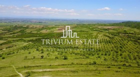 ������� ������ | Imot.bg � ����� ������ 10