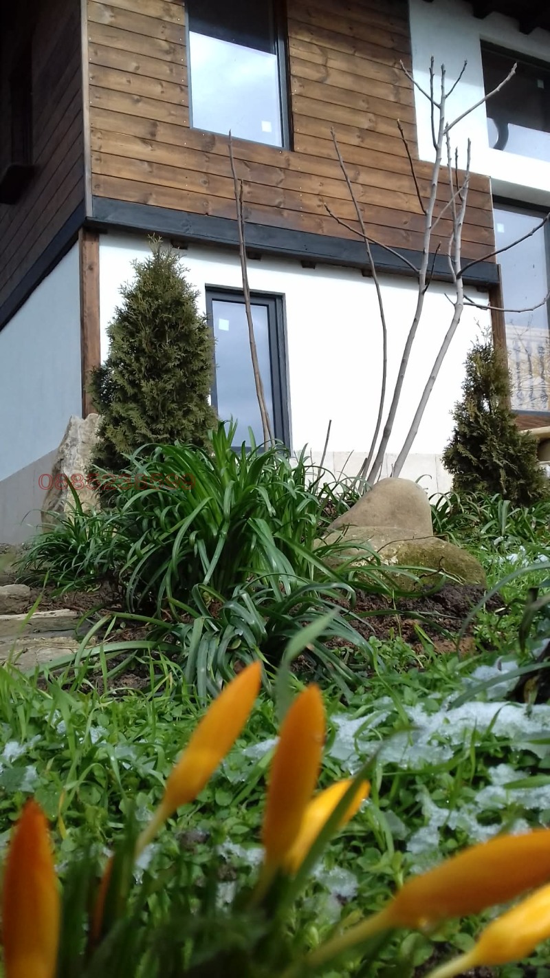 Продава КЪЩА, с. Церова кория, област Велико Търново, снимка 3 - Къщи - 53479629