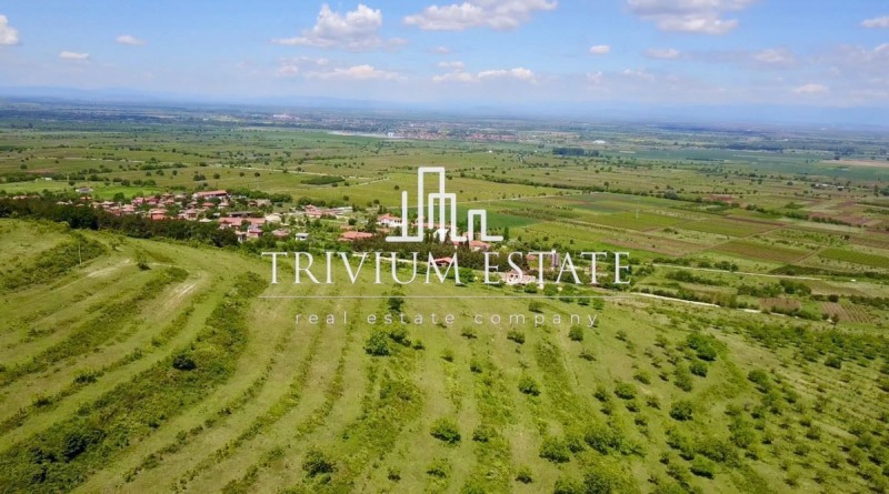 Продава ПАРЦЕЛ, с. Брестовица, област Пловдив, снимка 3 - Парцели - 53186128