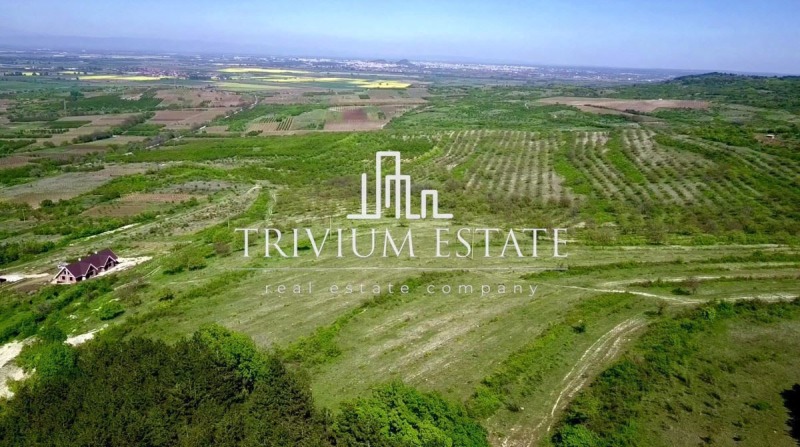 Продава ПАРЦЕЛ, с. Брестовица, област Пловдив, снимка 2 - Парцели - 53186128