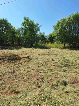 Hus Chervena mogila, region Pernik 6