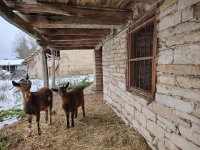 ������� ���� | Imot.bg � ����� ������ 7