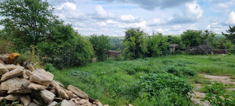 Na prodej  Spiknutí oblast Razgrad , Poroište , 529 m2 | 10801740 - obraz [6]
