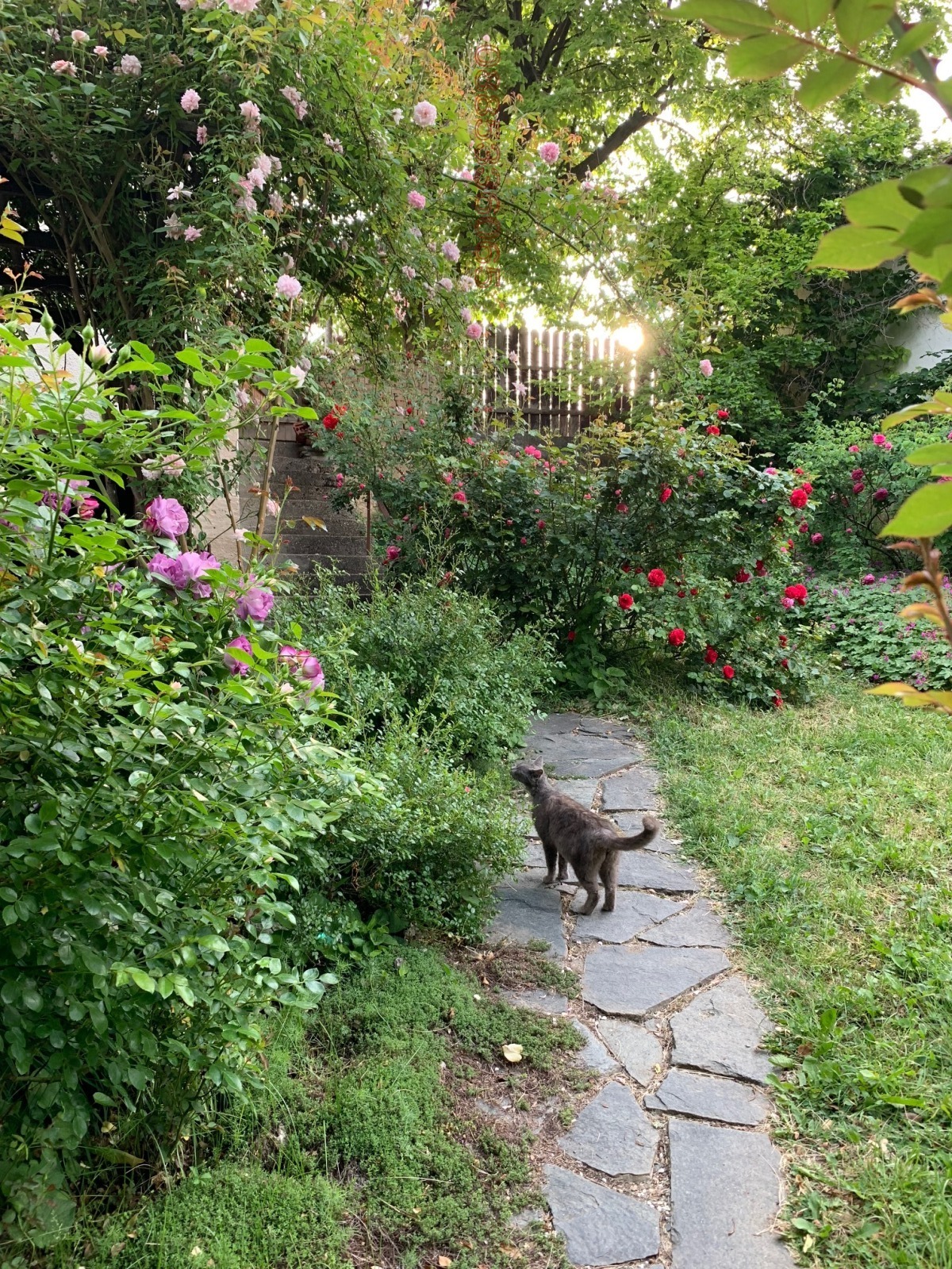 Продава КЪЩА | Imot.bg — изображение 3