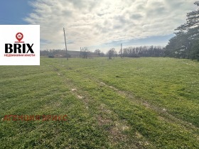 ������ ������� ������