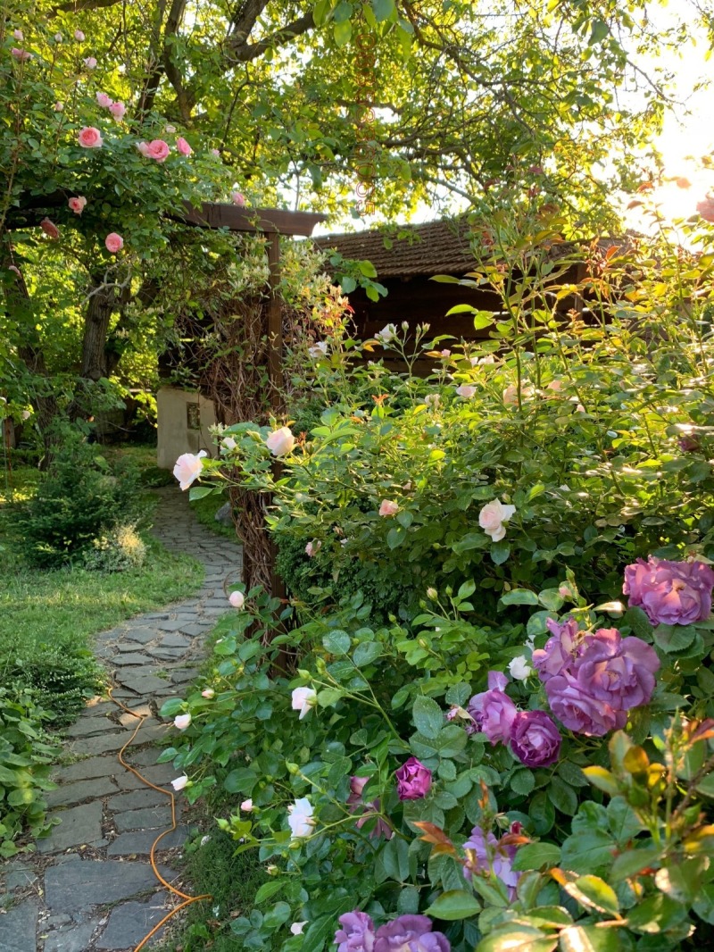 Продава КЪЩА, с. Черешово, област Русе, снимка 4 - Къщи - 52785750