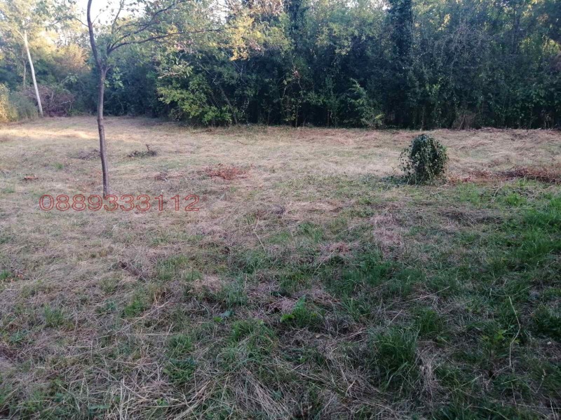 Eladó  Cselekmény régió Sofia , Dramsa , 949 négyzetméter | 22141303 - kép [5]
