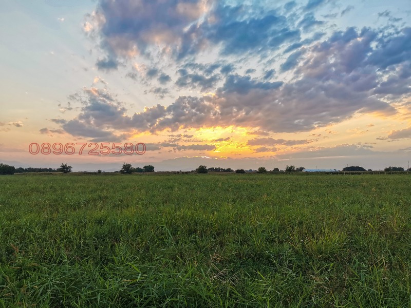 Продава ЗЕМЕДЕЛСКА ЗЕМЯ, гр. Пловдив, област Пловдив, снимка 4 - Земеделска земя - 52785789