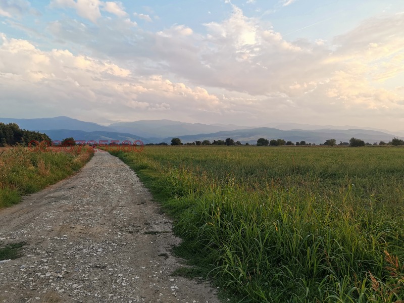 Продава ЗЕМЕДЕЛСКА ЗЕМЯ, гр. Пловдив, област Пловдив, снимка 5 - Земеделска земя - 52785789