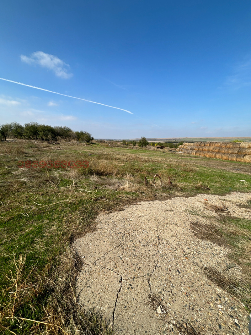 Продава БИЗНЕС ИМОТ, с. Търнава, област Враца, снимка 16 - Други - 52781089