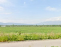 Продава ПАРЦЕЛ, гр. София, с. Долни Богров, снимка 1