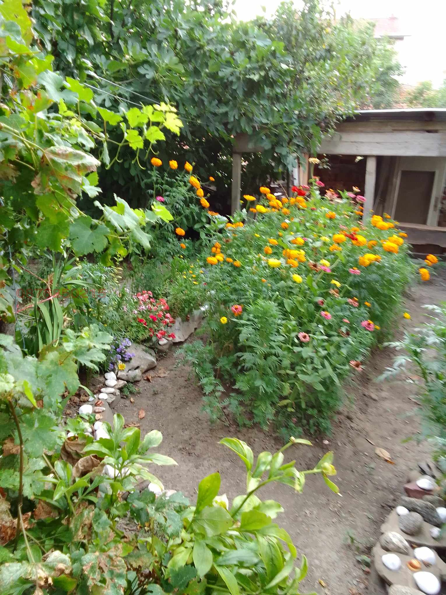 ������� ���� �� ���� | Imot.bg � ����������� 9