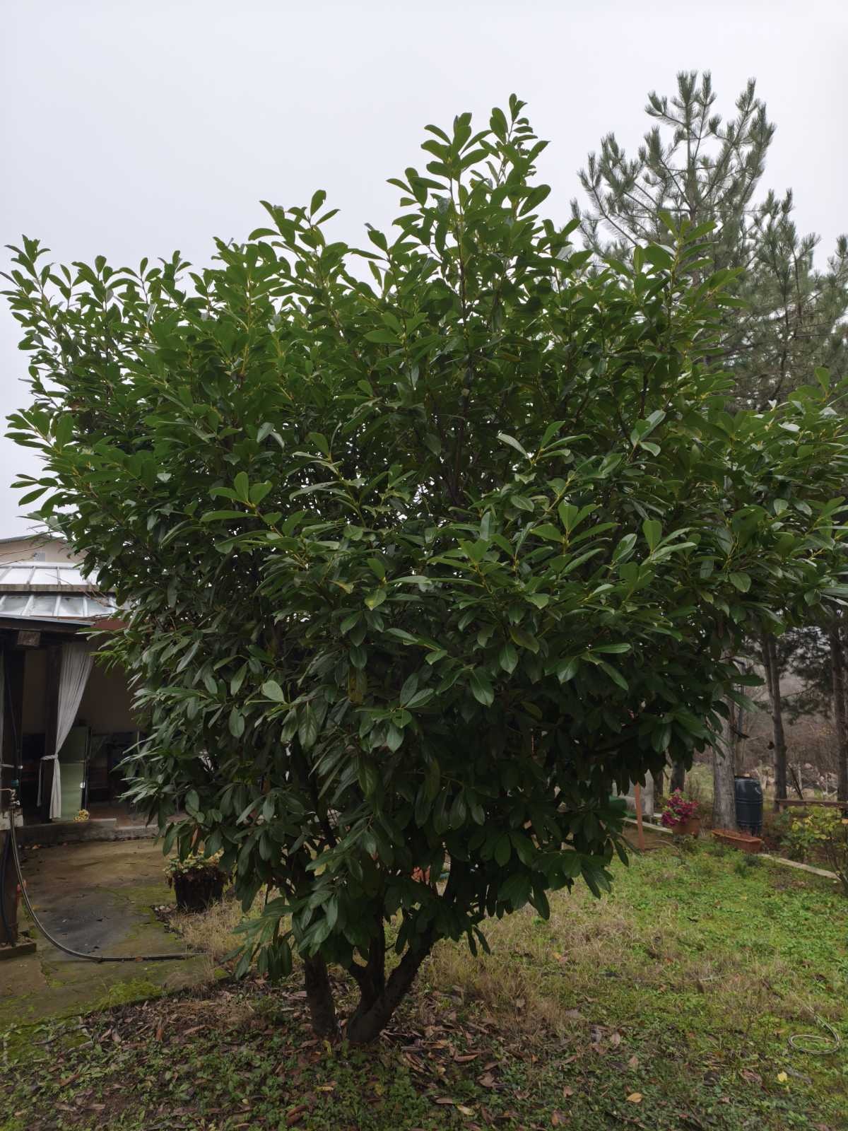 ������� ���� | Imot.bg � ����������� 8