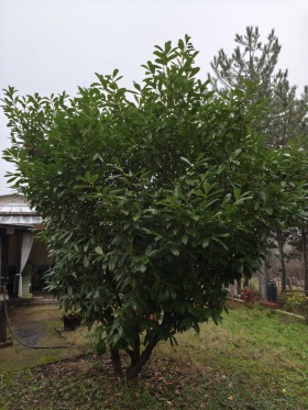 ������� ���� | Imot.bg � ����� ������ 8