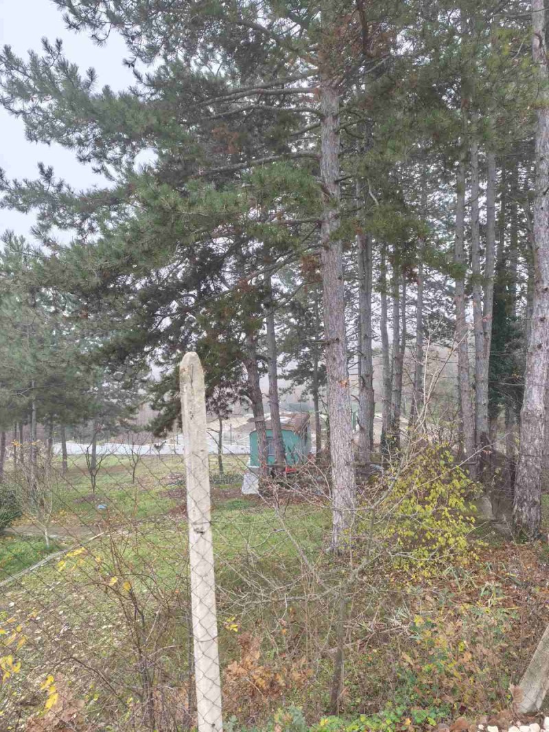 Продава КЪЩА, гр. Плевен, м-т Мъртва долина, снимка 17 - Къщи - 52856289