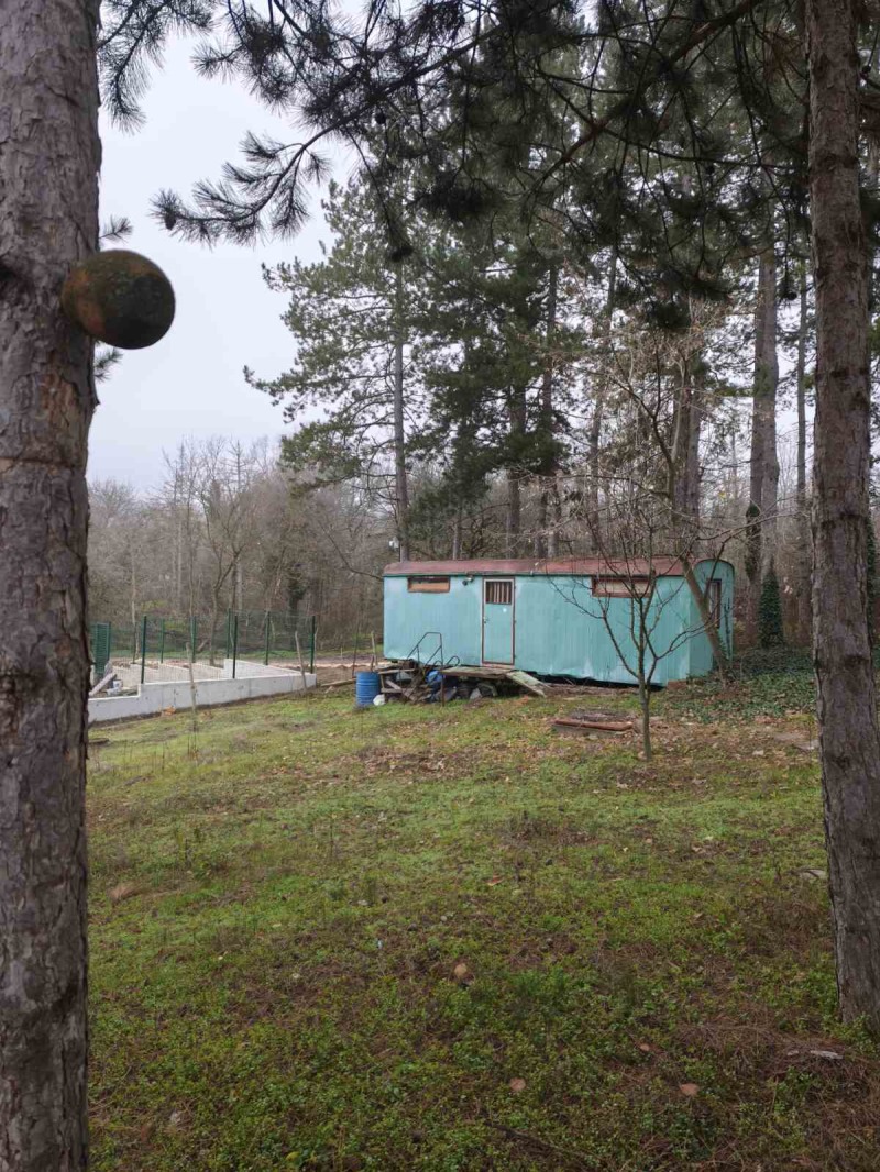 Продава КЪЩА, гр. Плевен, м-т Мъртва долина, снимка 4 - Къщи - 52856289