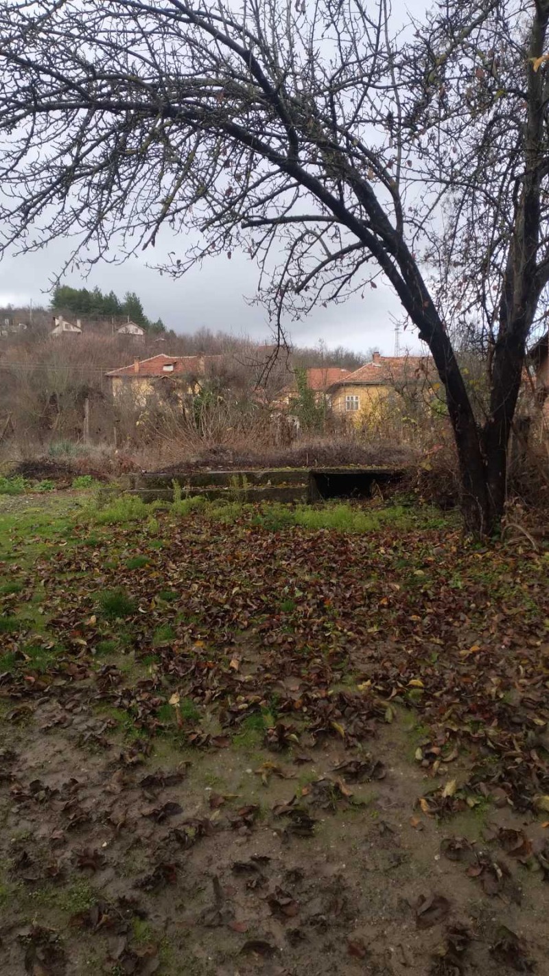 Продава ПАРЦЕЛ, с. Шишковци, област Кюстендил, снимка 2 - Парцели - 52624721