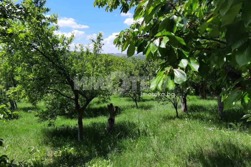 ������� ���� | Imot.bg � ����������� 5