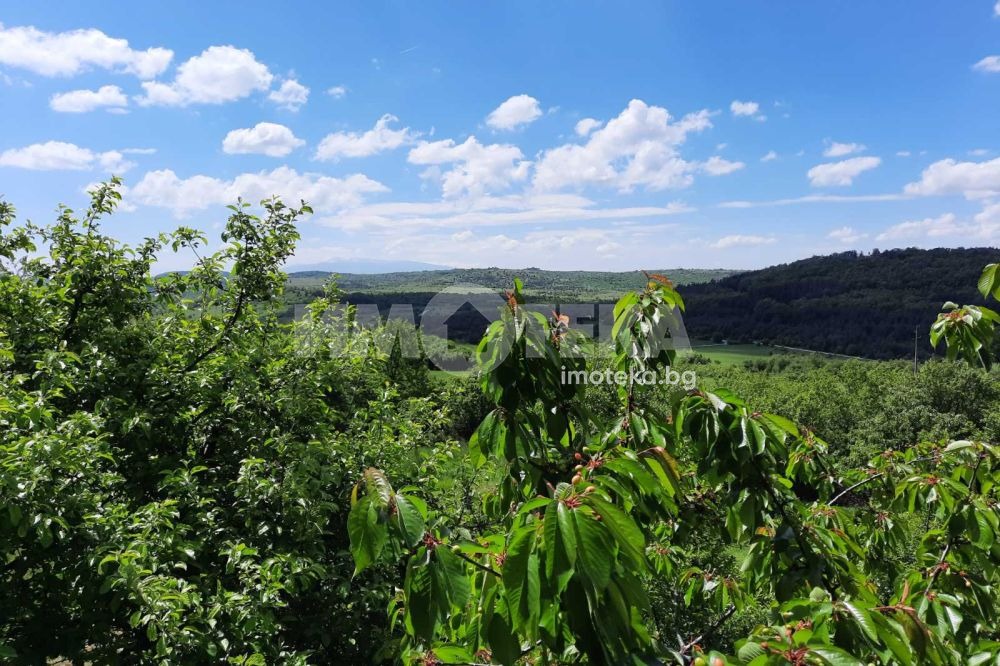 ������� ���� | Imot.bg � ����������� 13