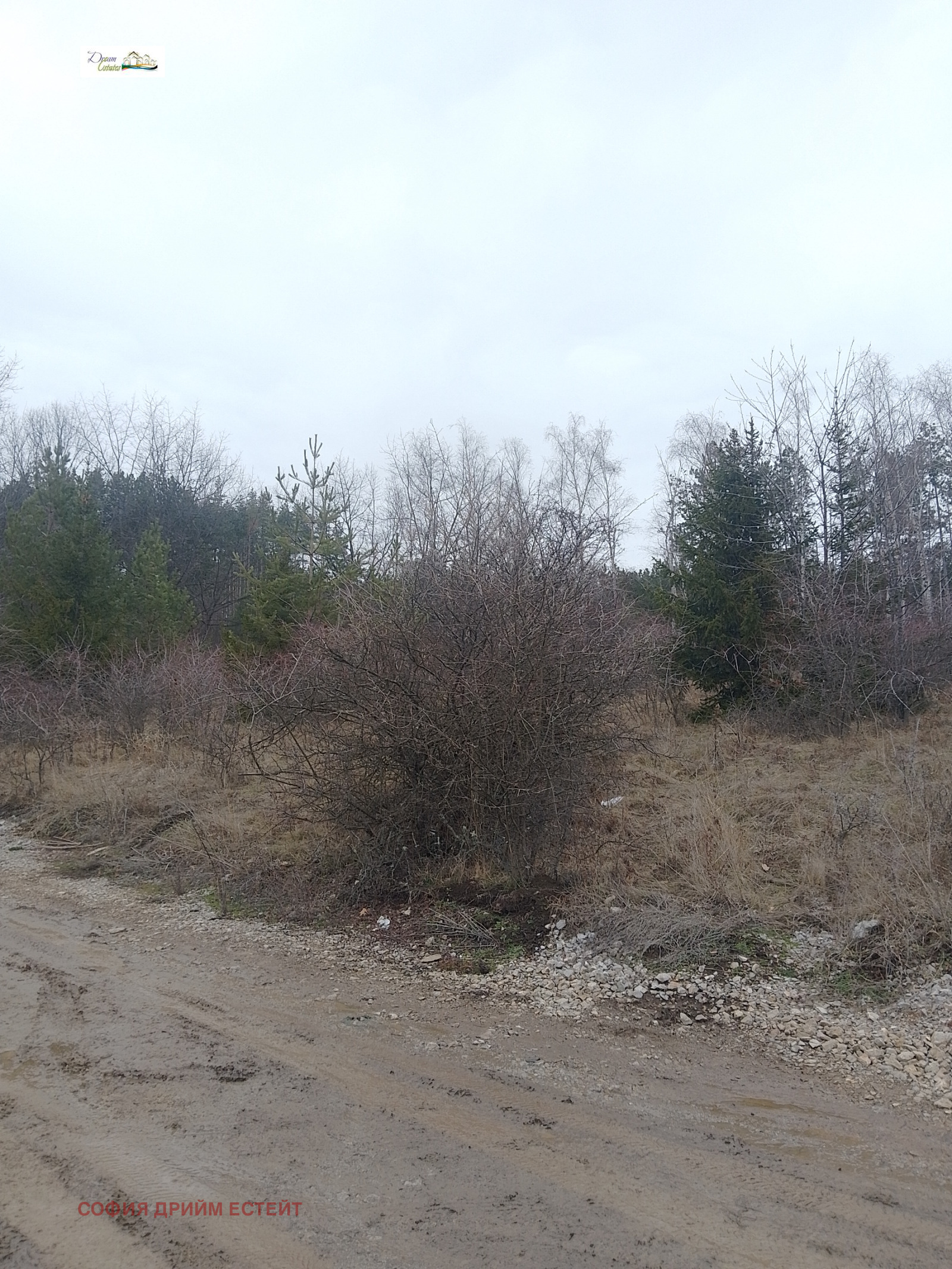 ������� ������ | Imot.bg � ����������� 11